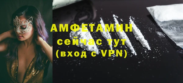 амф Бородино