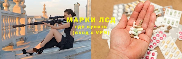 амф Бородино