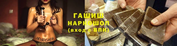 амф Бородино