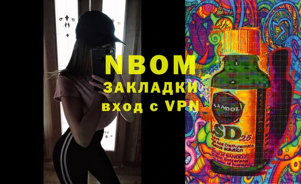 амф Бородино