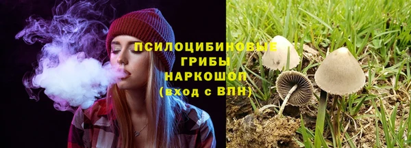 спайс Богданович