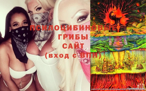 прущая мука Богородск
